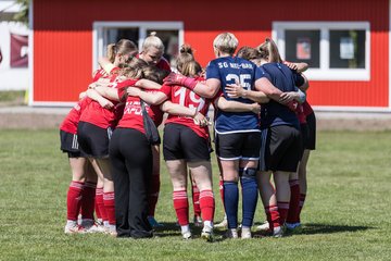 Bild 41 - F SG NieBar - IF Stjernen Flensborg : Ergebnis: 2:0